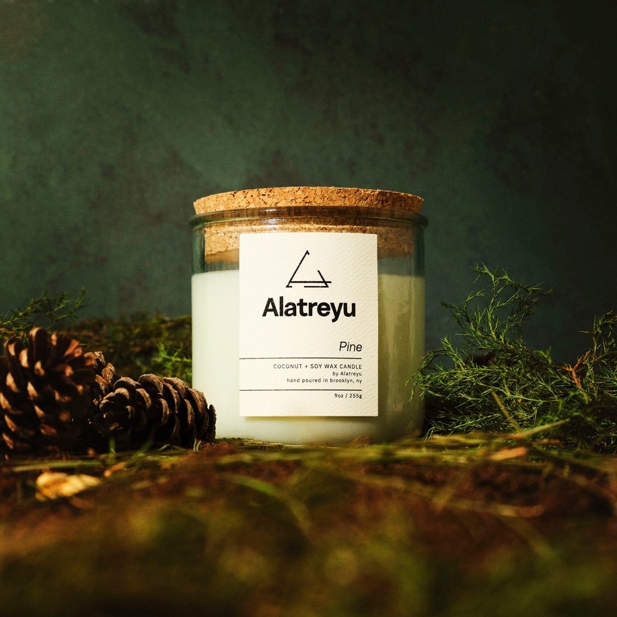 Pine candle by Alatreyu, with scent notes of balsam, pine sap, and caramel. Pay what you can pricing.