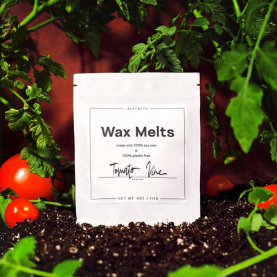 Tomato Vine wax melts in 100% plastic-free packaging. Notes of Citrus, Tomato Leaves, Top Soil.