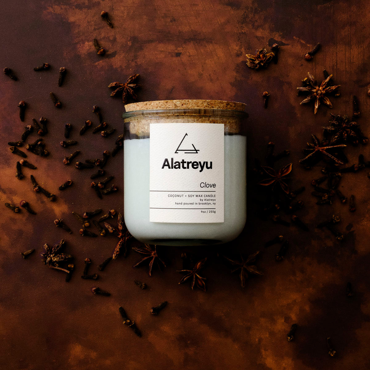 9oz Coconut and Soy Clove Holiday Candle by Alatreyu