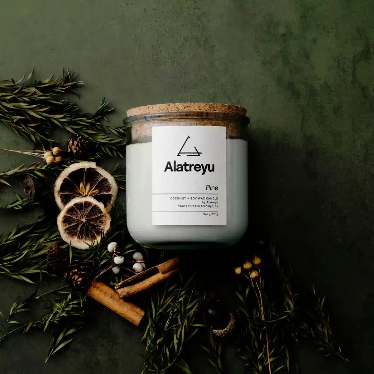 9oz Coconut and Soy Pine Needle Forest Candle by Alatreyu