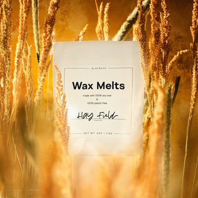 Hay Field wax melts in 100% plastic-free packaging. Notes of Sweetgrass, Alfalfa, Patchouli.