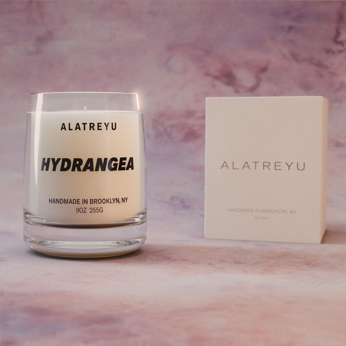 Hydrangea with its packaging