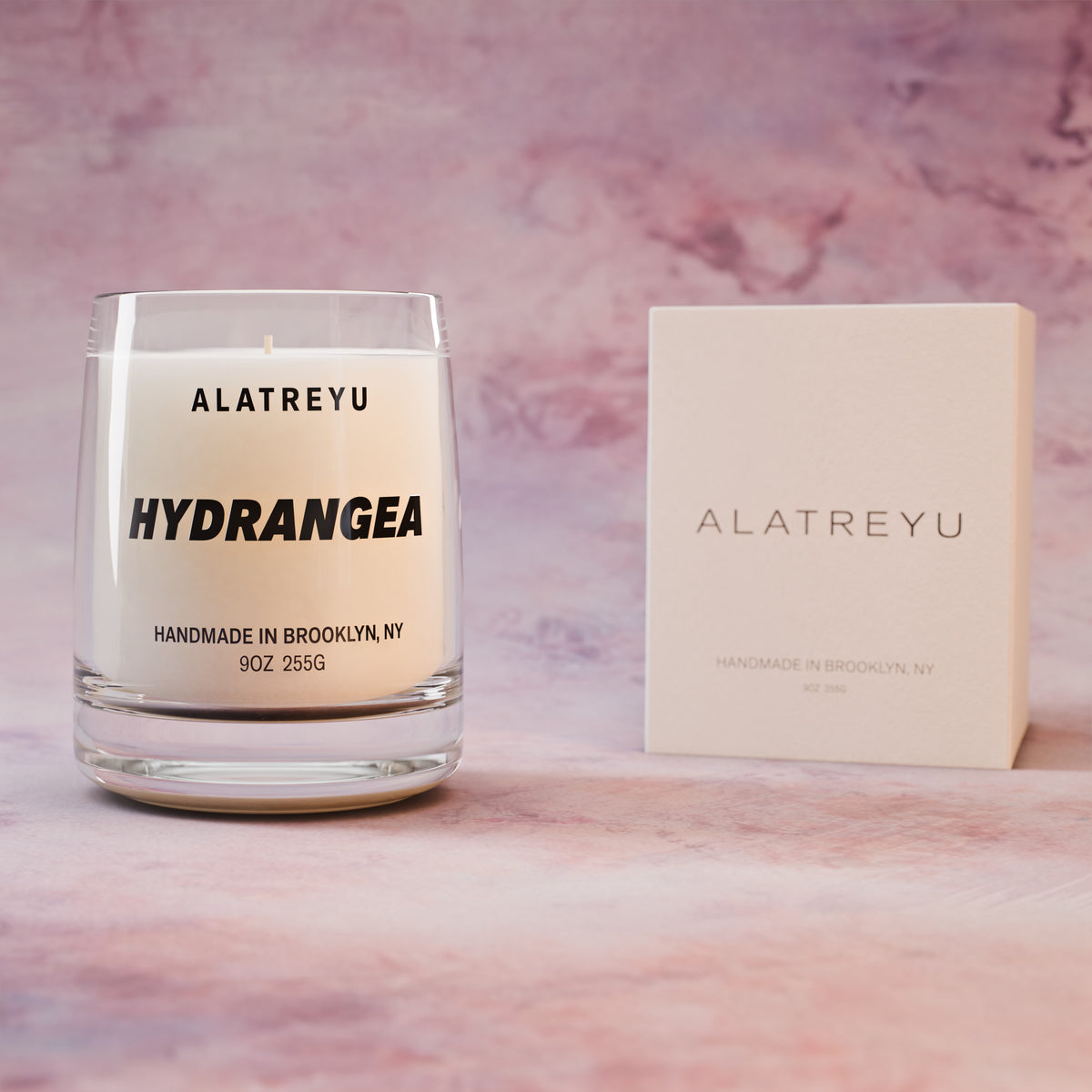Hydrangea with its packaging