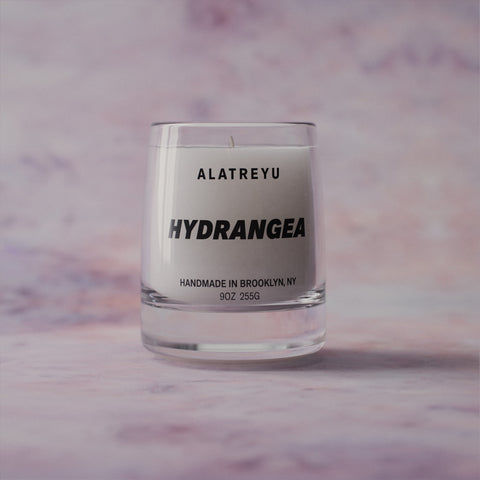 Hydrangea