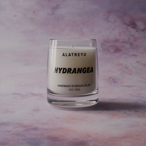 Hydrangea