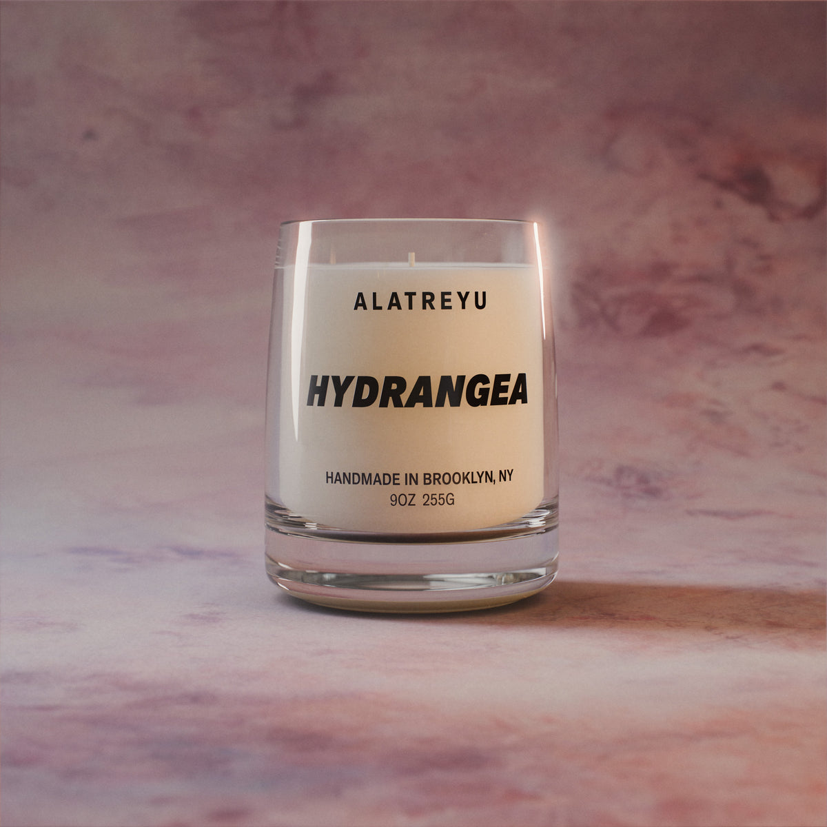 Hydrangea