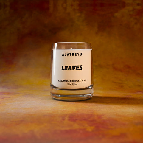 Leaves