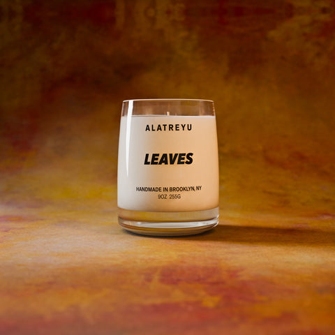 Leaves