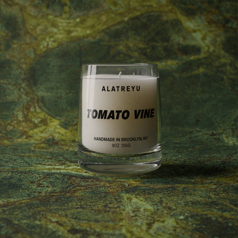 Tomato Vine