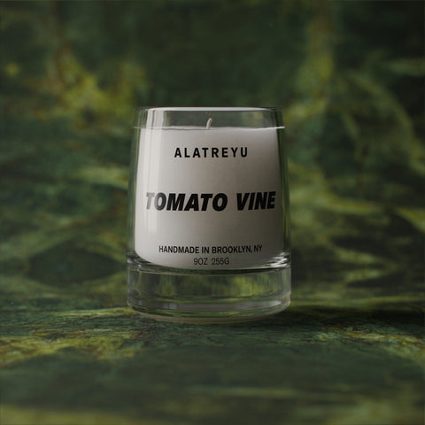 Tomato Vine