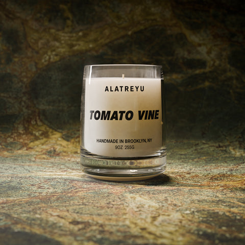 Tomato Vine