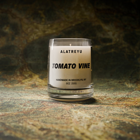 Tomato Vine