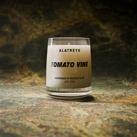 Tomato Vine